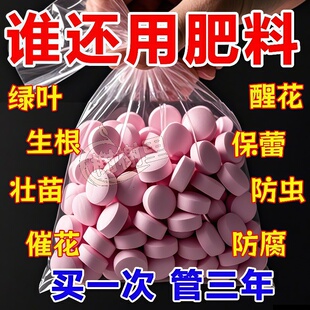 植物营养片通用型缓释片绿植花肥料复合肥花卉缓释肥家用盆栽园艺