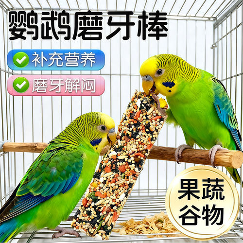 鹦鹉五谷杂粮磨喙补钙棒