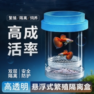 鱼缸隔离盒孵化盒孔雀鱼凤尾繁殖盒小鱼幼鱼鱼苗缸外非亚克力产房