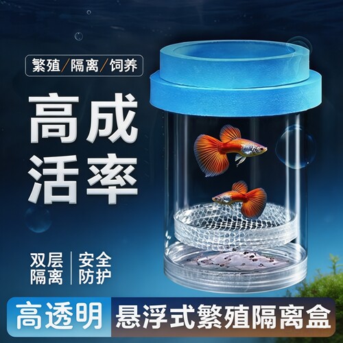 鱼缸隔离盒孵化盒孔雀鱼繁殖盒