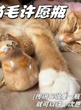 可爱透明猫毛收纳盒吊饰家的毛孩子毛发存放收集猫咪造型胶囊装饰