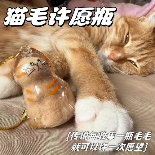 可爱透明猫毛收纳盒吊饰毛发存放