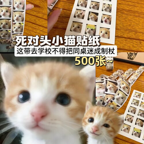 死对头小猫贴纸低脂猫咪表情包