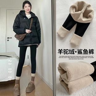 加绒鲨鱼裤女外穿2025新款秋冬加厚紧身芭比瑜伽裤保暖棉裤打底裤