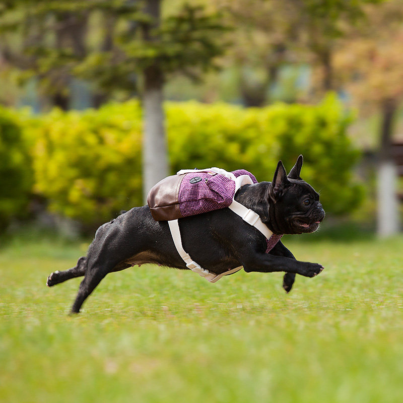 狗狗背包小型犬柴犬外出便携大号零食钥匙垃圾帆布宠物狗用自背包,宠物/宠物食品及用品,背包/箱包,淘宝优惠券,粉丝福利购,淘宝优惠卷