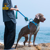 狗狗牵引绳小型中大型犬狗链子狗绳宠物胸背带套装 宠物用品遛狗