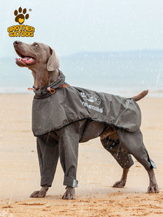 狗狗雨衣新款 金毛防脏 宠物雨披四脚防水衣服大型犬中型犬