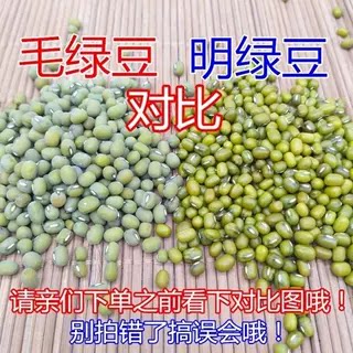 农家新毛绿豆熬汤煮粥新鲜绿豆毛绿豆老品种