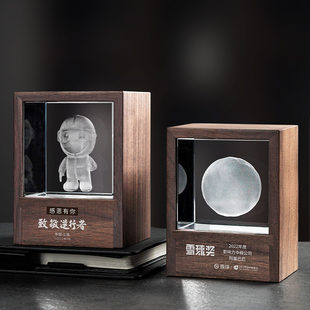 精选奖杯定制水晶3D内雕胡桃木奖牌定做逆行医护人员抗Y疫志愿者