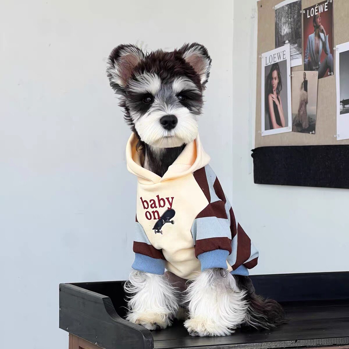 小狗衣服秋冬装雪纳瑞博美泰迪加厚保暖冬装宠物幼犬条纹拼接衣服