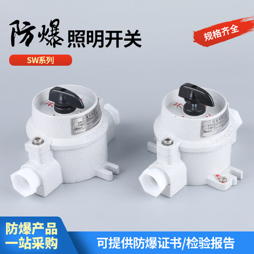 国标防爆照明开关220V墙壁SW-10