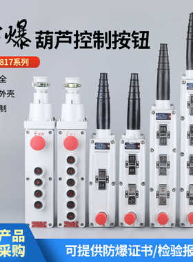 防爆电动葫芦控制按钮A5817升降启停6K/8K起重机行车防爆手柄开关