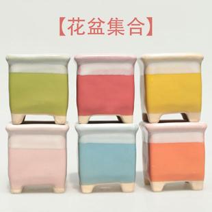 不含植物 都有孔 考拉农场 花盆集合