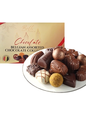 盒马 Bello 比利时  臻选什锦造型巧克力礼盒620g