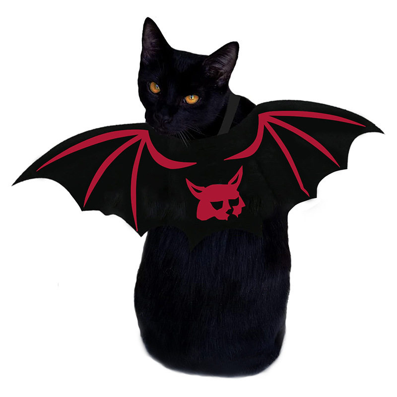 Bat Wings, Cat Sized