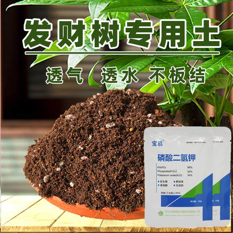 营养液植物通用型土水培绿萝多肉富贵竹发财树专用盆栽花卉肥料|msdalam kategori penghantaran bunga/bunga simulasi/tumbuhan berkebun, Gardening Supplies, baja rumah berkebun/tanah pemakanan/penyelesaian nutrien - dari Buy2taobao.com untuk memberikan perkhidmatan ejen Taobao profesional membeli
