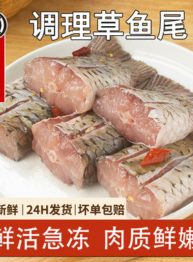 新鲜草鱼尾活鱼现杀免洗免调