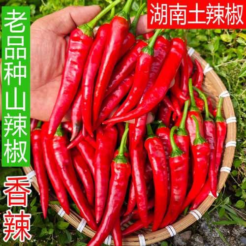 红辣椒湖南老品种土山辣椒特香辣本地农家自种辣子新鲜特薄皮蔬菜