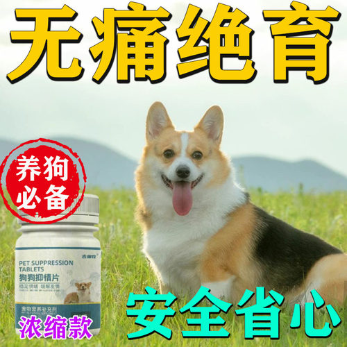 【不开刀】狗狗绝育 永久性犬用绝育药狗用品大全防止狗发情乱爬