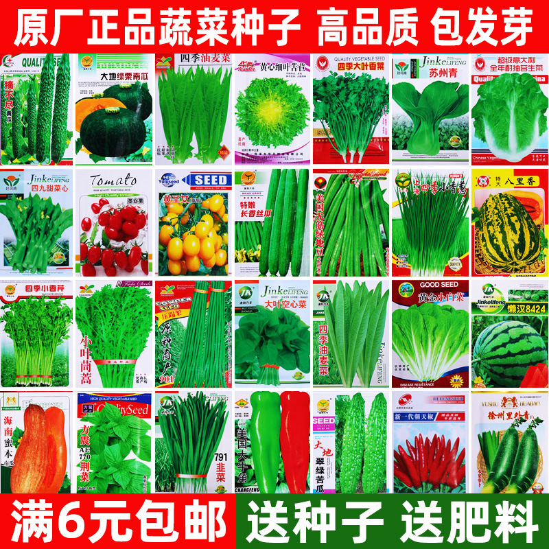 Four season vegetables, seeds, seeds, vegetables, cabbage,