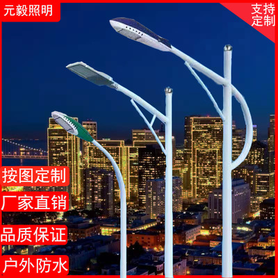 广东厂家工程定制户外市电LED路灯单臂双臂双头路灯广场高杆灯