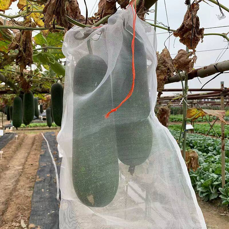 冬瓜套袋南瓜西瓜防虫网袋尼龙葡萄防鸟袋水果桃子丝瓜菠萝蜜套袋
