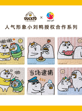 绝版 3D-JP 塑料磁铁拼图套装冰箱贴 小刘鸭小冤家 16片*6幅 3djp