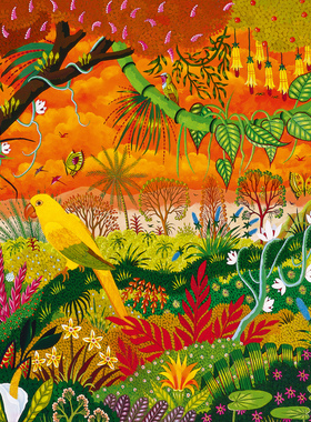 现货 法国 Pieces and Peace 进口小众拼图 金黄锥尾鹦鹉 1000片