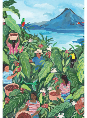 现货 法国 Pieces and Peace 进口小众质感拼图 危地马拉 1000片