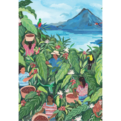 现货 法国 Pieces and Peace 进口小众质感拼图 危地马拉 1000片