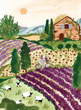 现货 法国 Pieces and Peace 小众拼图 Provence 普罗旺斯 2000片