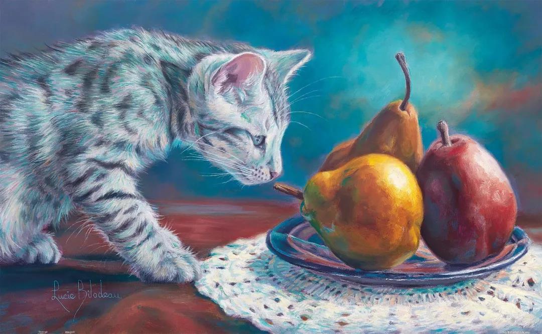 绝版现货 3D-JP塑料拼图  Lucie Bilodeau 猫咪探索中1000片 3djp