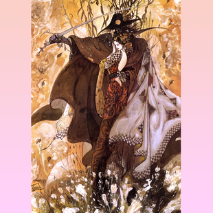 绝版现货 日本HANAYAMA进口拼图 天野喜孝 热情 Passion 520片