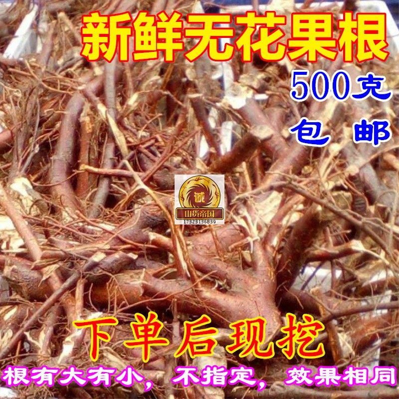 正宗新鲜无花果根1斤包邮 果园现挖无花果树根茎煲汤煮水洗中药材