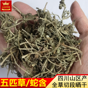 药材五匹草 蛇含五皮风500g包邮干货蛇含委陵菜五爪龙 五叶莓蛇衔