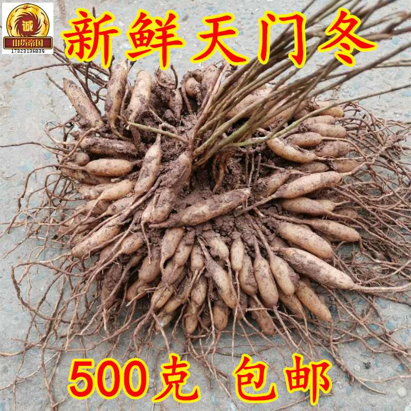 新鲜天冬纯根 野外天门冬500g包邮四川天冬 丝冬炖汤泡酒中草药材