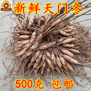 新鲜天冬纯根 野外天门冬500g包邮四川天冬 丝冬炖汤泡酒中草药材