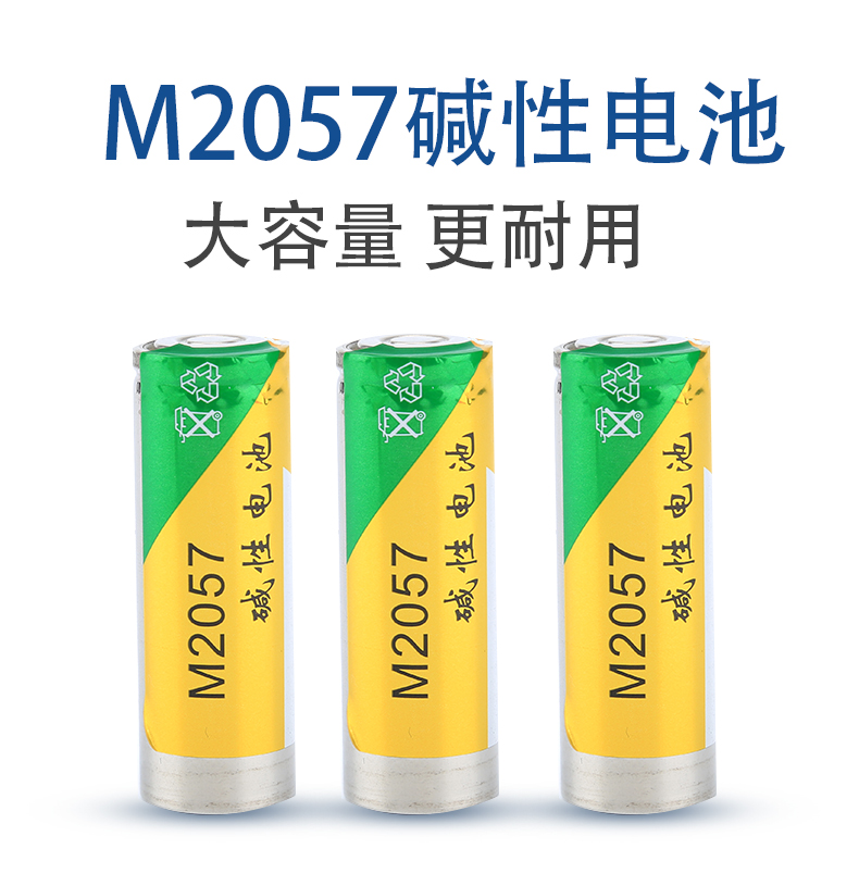 诺星M2057/LR12 1.5V碱性电池浪天LT-Z18电动牙刷专用电池6000mAh