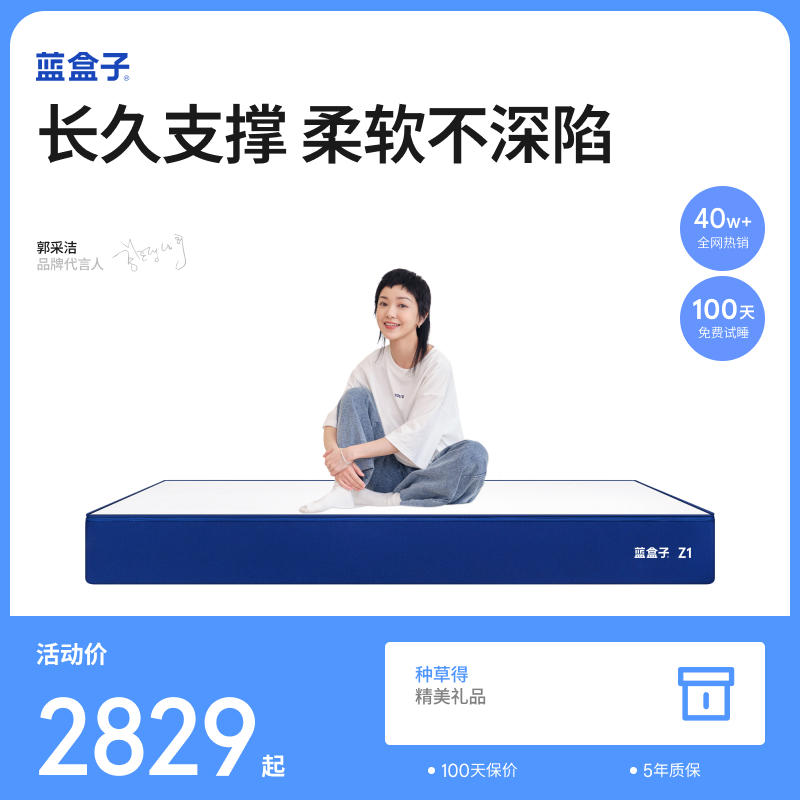 【Z1博主推荐】蓝盒子旗舰店独立弹簧床垫软垫家用卧室酒店席梦思
