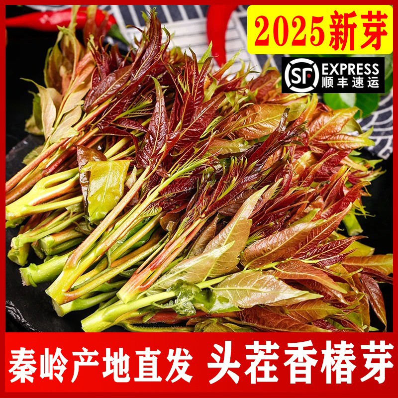 【2025新芽】新鲜山采香椿芽现货
