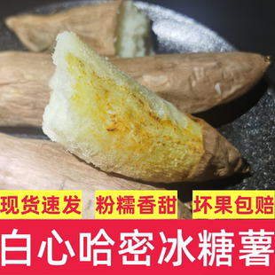山东新鲜红皮白哈密冰糖薯白瓤白心地瓜新沙土红薯山芋包邮