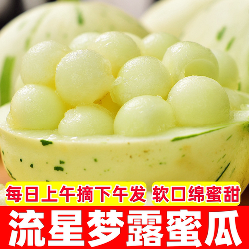山东厚皮瓜香瓜沙地月露梦露流星蜜瓜冰淇淋甜瓜新鲜现摘现发包邮