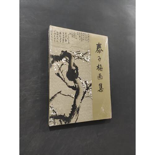 【正版旧书 7-9成新】泰子梅画集刘泰子 绘人民美术出版社2002-00-00艺术