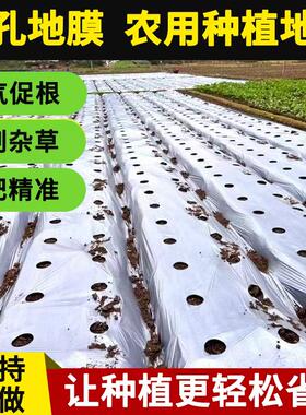 农用打孔地膜银黑双色打孔地膜打孔黑色地膜打孔种植地膜支持定制