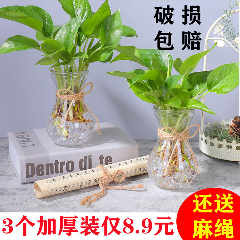 风信子花瓶 价格 怎么样 图片