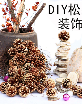 diy马尾森系幼儿园装饰摆件干花