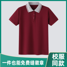 校服短袖中学生高中polo衫夏季定制一模一样小学生儿童班服套装