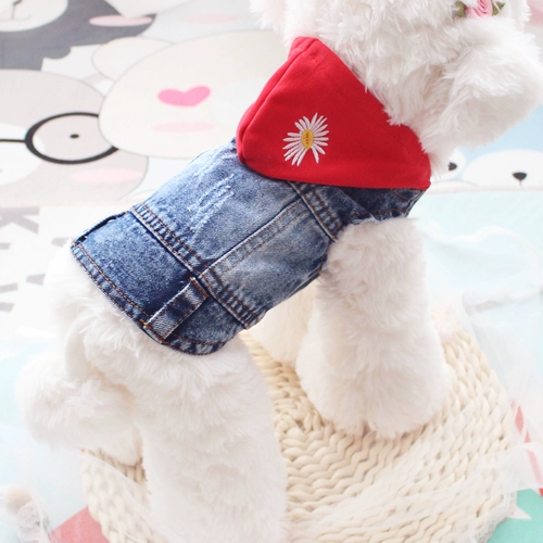 Chao Brand с шляпкой жилеткой разбитая джинсовая джинсовая джинсовая и осенняя одежда маленькая собака Bikumo Belite Pet Dog Одежда кошка