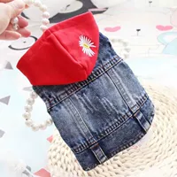 Красная Шапка