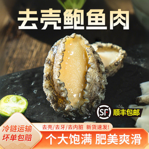 去壳鲍鱼肉鲜活冷冻商用海鲜鲍鱼